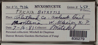 Image Associated With the Occurence